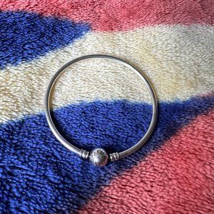 Silver Pandora Moments Bangle